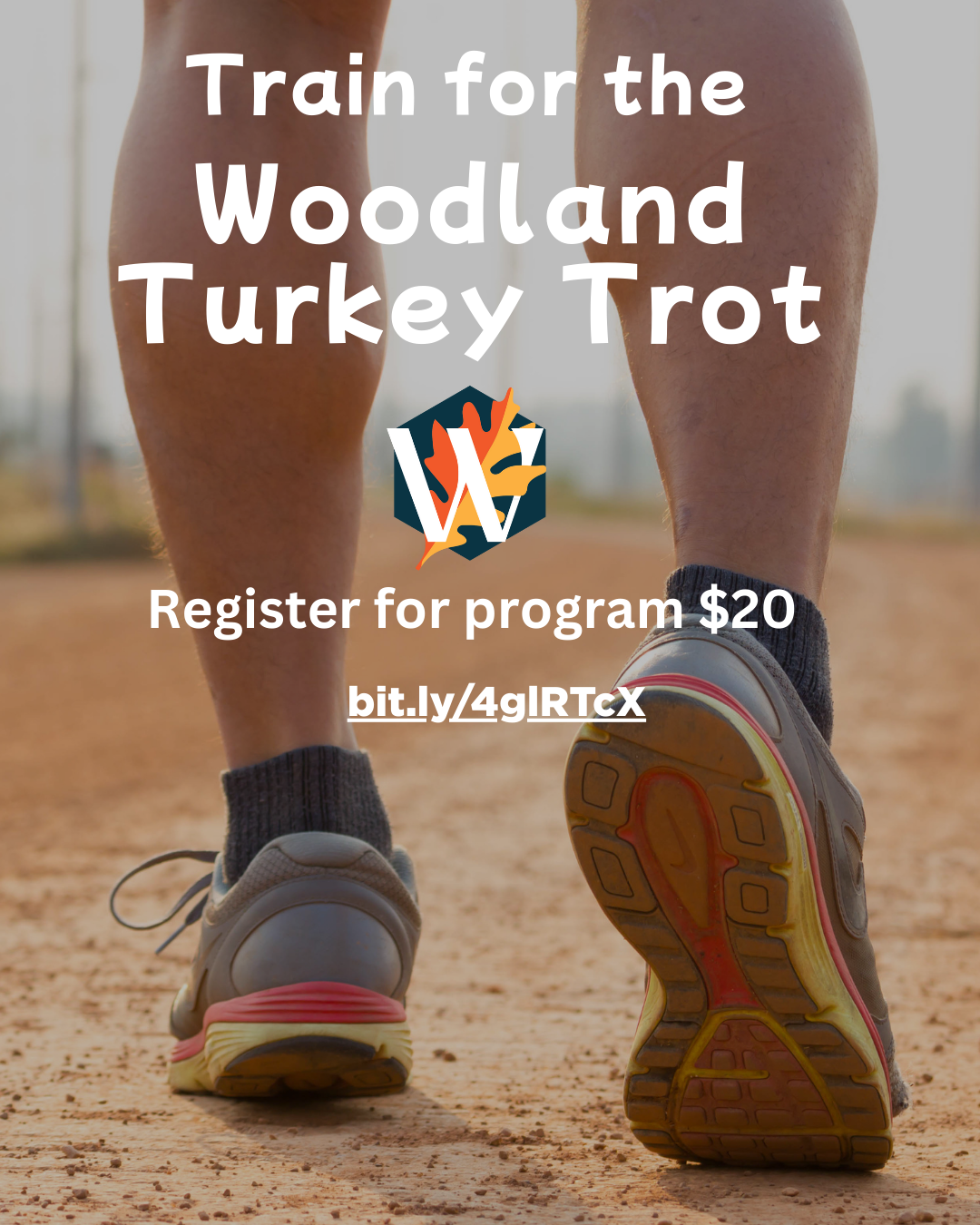 5K Training program flyer