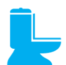 Toilet Leaks