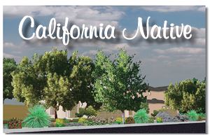California Native Planting Plan (PDF)