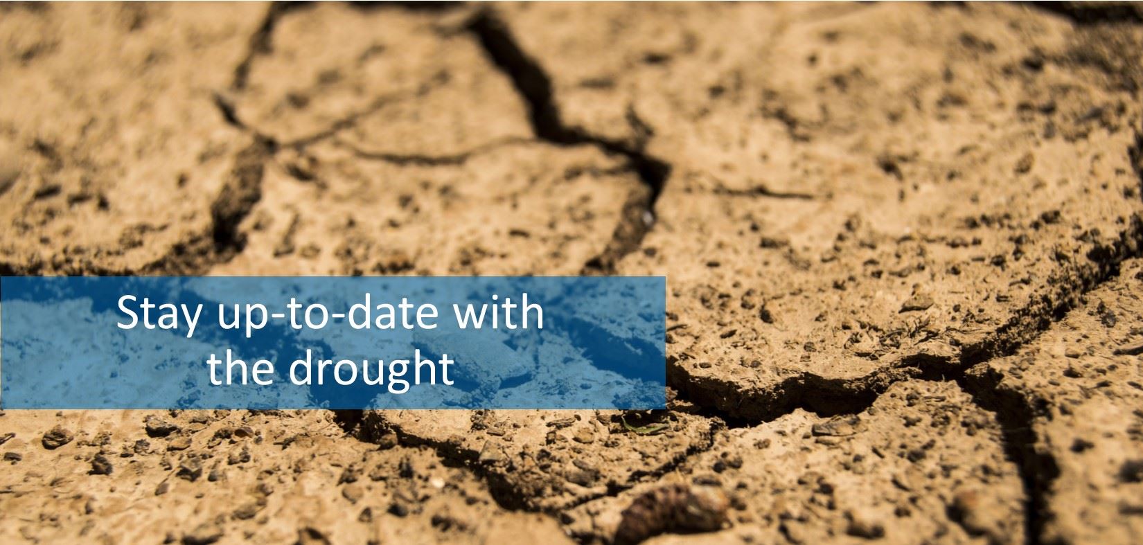 Drought - Stay up-to-date with the drought.