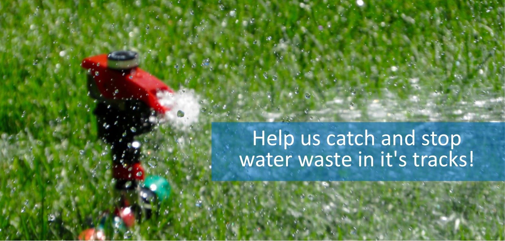 Water Waste - Help us catch and stop water waste in its tracks!