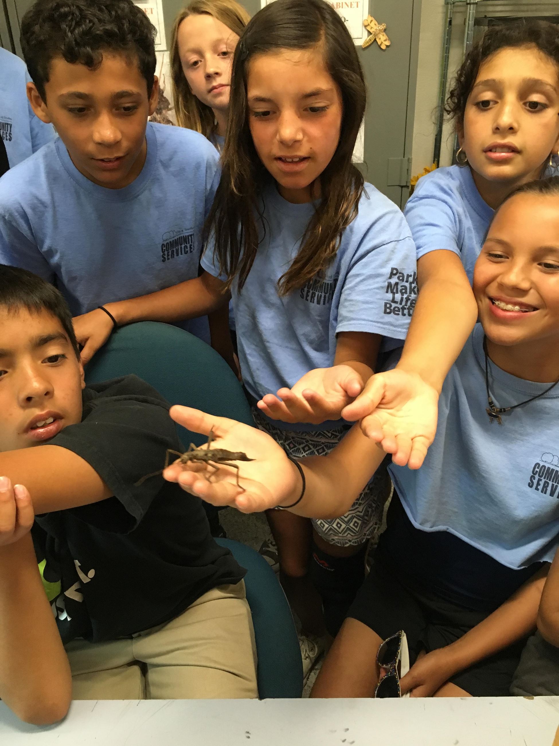 Young kids looking at bugs