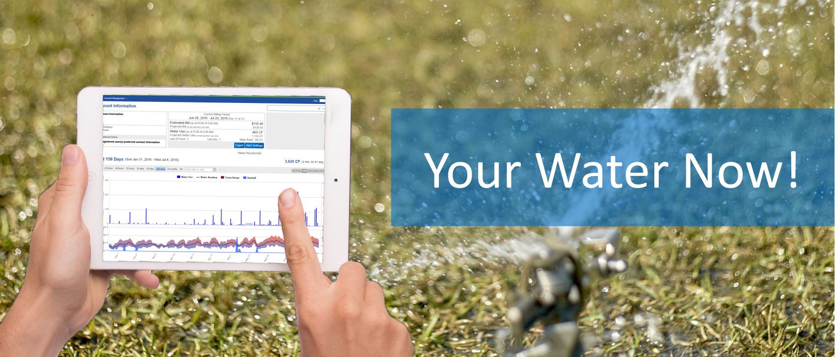 web header 2_Crop-01