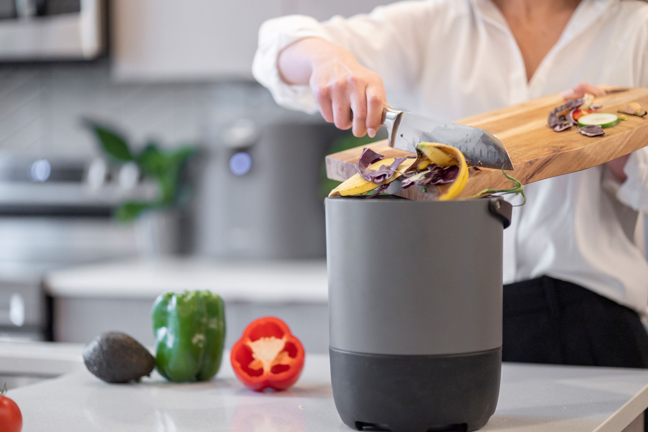 FoodCycler Maestro_09706 (1)