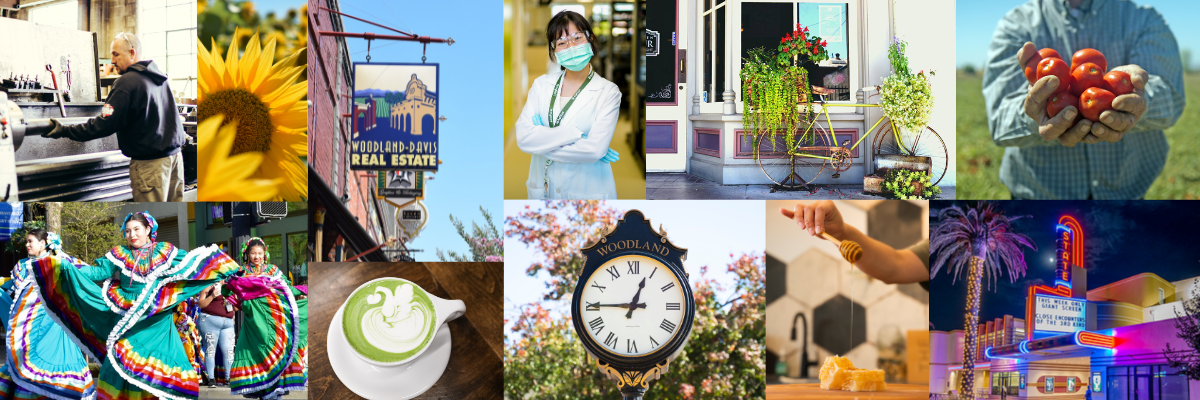 Econ Dev Website Cover