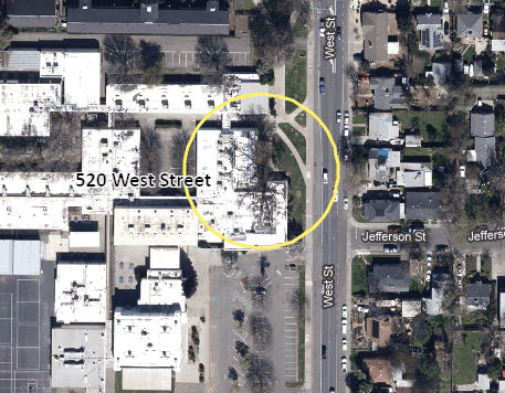 Valley Oak tree located at 520 West Street