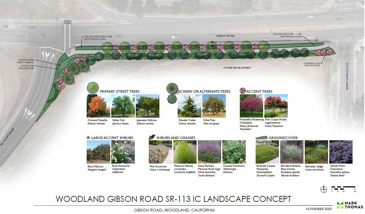 113 Gibson Conceptual Landscape Rendering