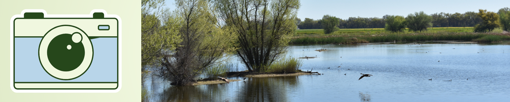 WRPP Photo Contest Webpage Header with image of park and a camera icon