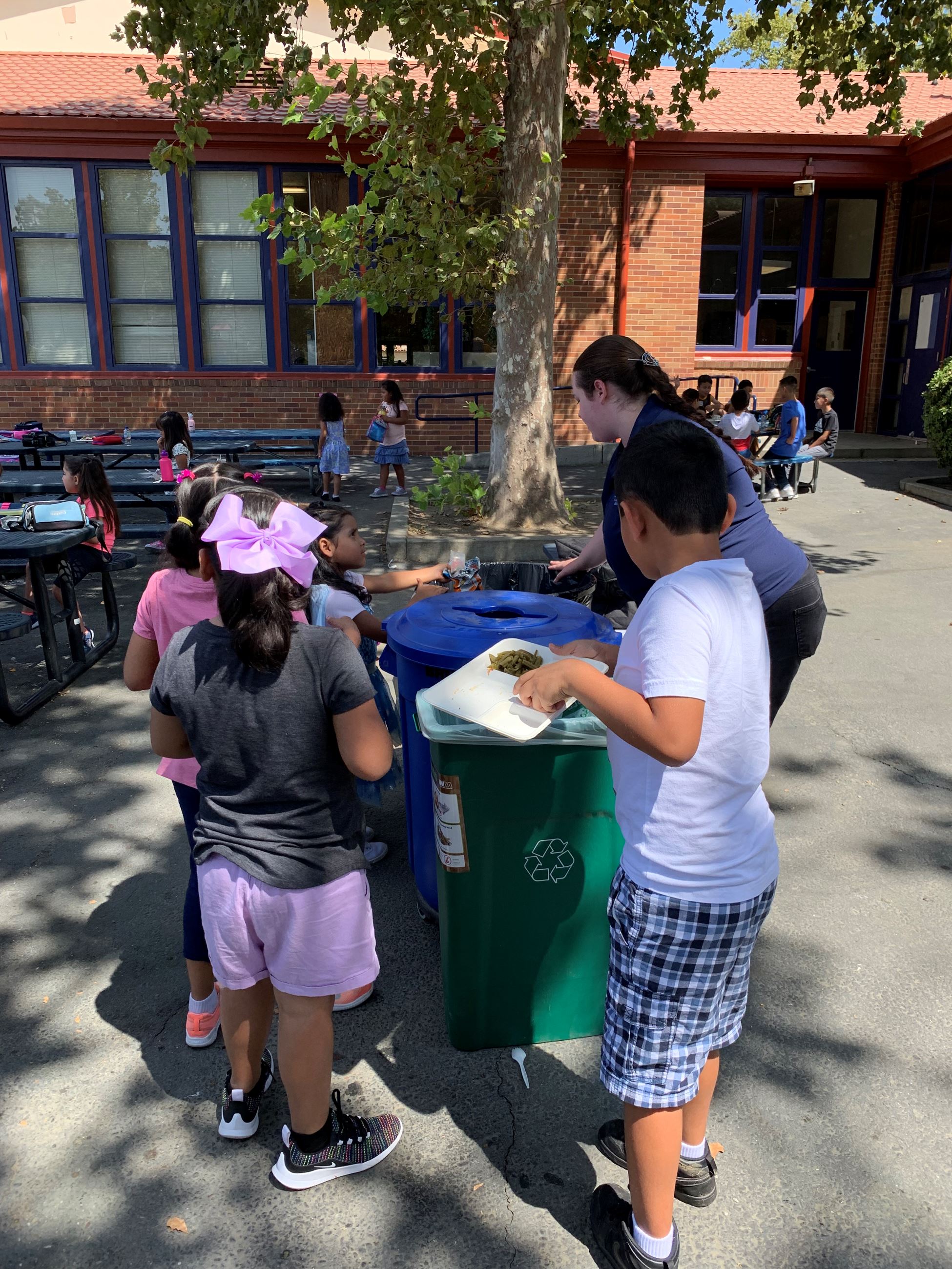 School Organics Sorting at Beamer